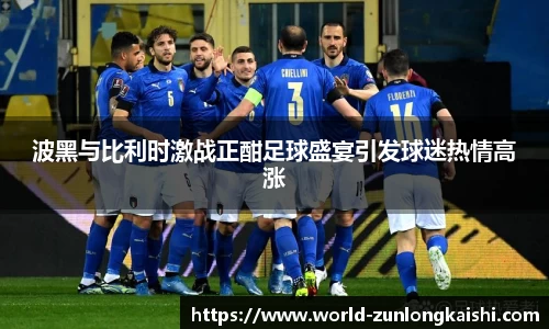 波黑与比利时激战正酣足球盛宴引发球迷热情高涨